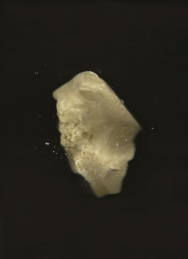 Cacao Rose – Lip, Brow & Cuticle Balm | Floral Infusion with Jasmine & Geranium