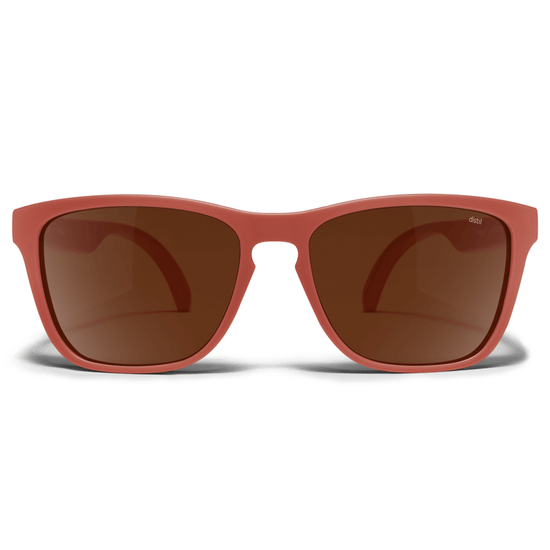 Folly Sunglasses