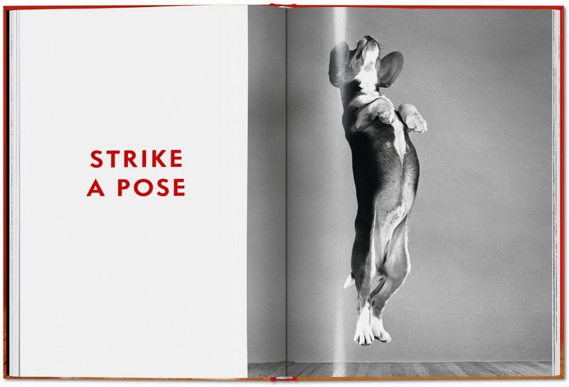 Walter Chandoha. Dogs. Photographs 1941–1991 (English)