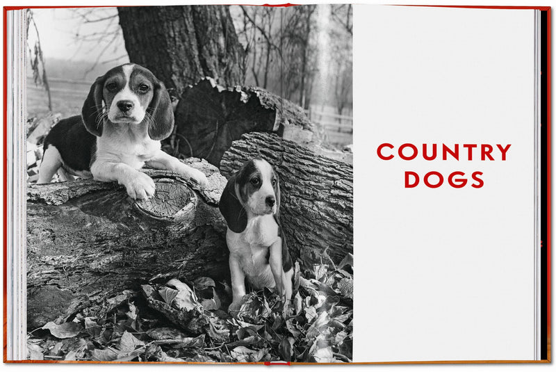 Walter Chandoha. Dogs. Photographs 1941–1991 (English)