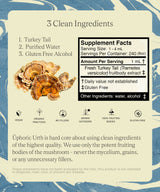 No. 05 — Turkey Tail by Üphoric Urth