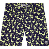 Tom & Teddy Men's Flamingos Swim Trunk | Dark Blue and Yellow