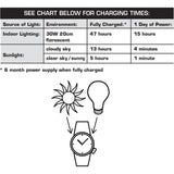 Bertucci A-3PS SOLAR FIELD Watch | Optic White Dial / Black Case | Nylon Band