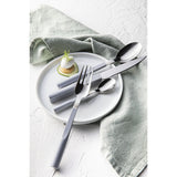 Degrenne L'Econome Starck Colored Flatware | 24 Pieces Set