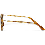 Toms Barron Amber Ale Sunglasses | Honey Tortoise 10008605