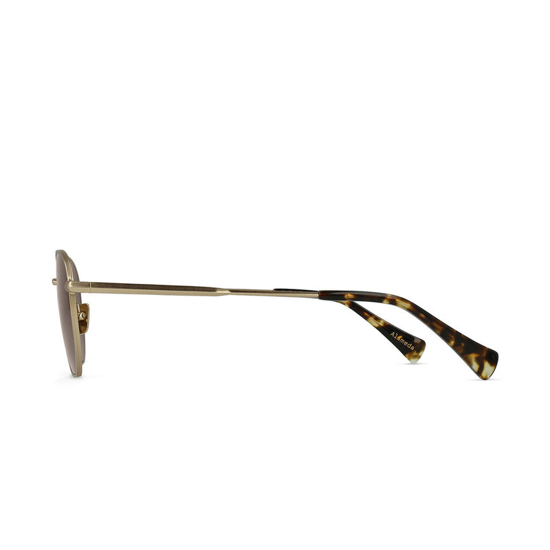 Raen Alameda Sunglasses