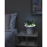 Umbra Ora Illuminated Planter | White