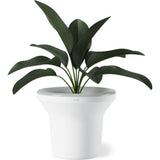 Umbra Ora Illuminated Planter | White