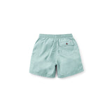Katin Poolside Volley Trunks