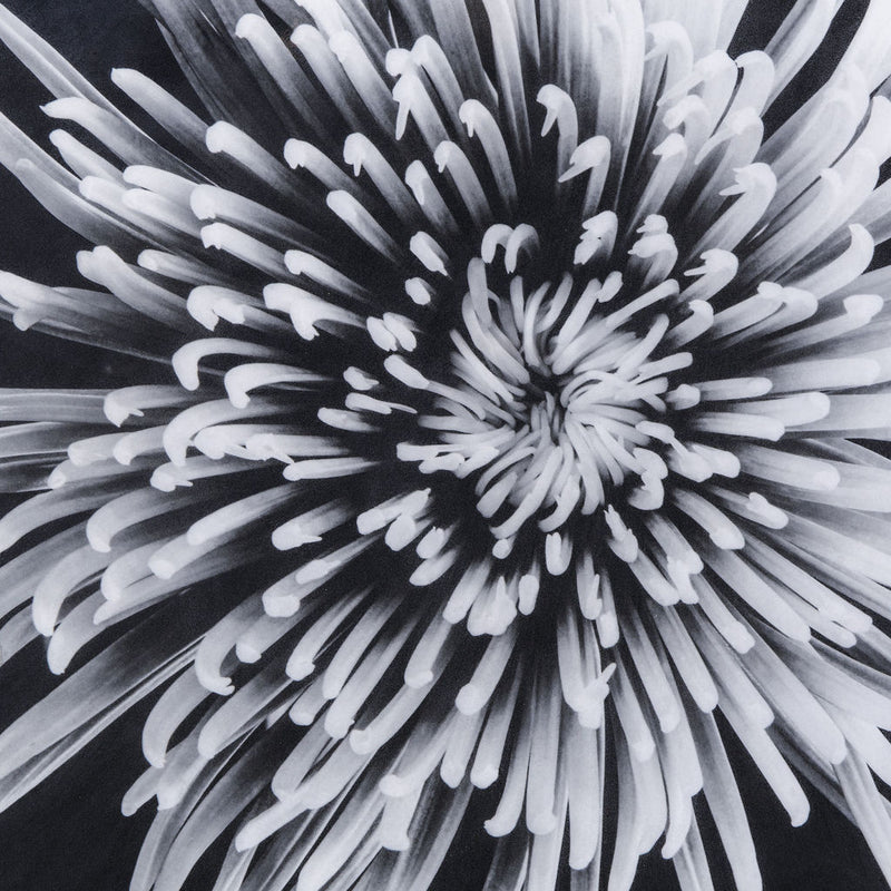 Resource Decor Black & White Flower | Epoxy / A
