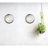 Artemide Niki Wall/Ceiling | 100W E26 W/GLASS 120V