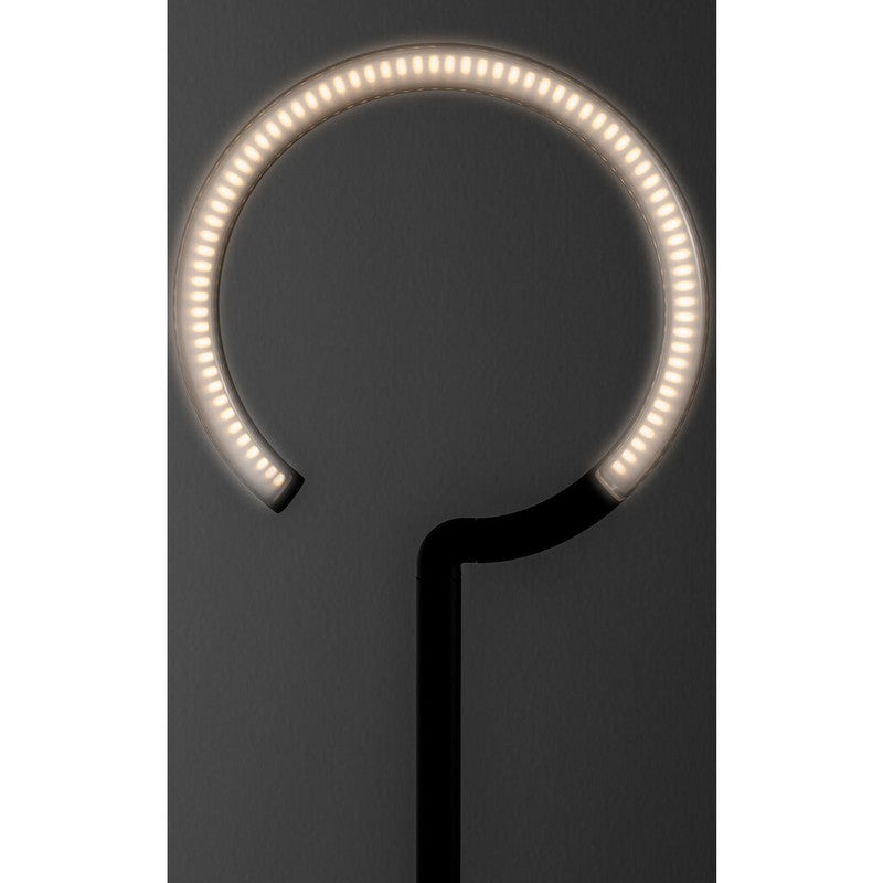 Artemide Vine LED Floor Light | 35W 3000K 90CRI Black