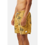 Katin Schooner Volley Trunks
