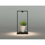 Artemide Curiosity 45 with Focus Table Lamp | Black