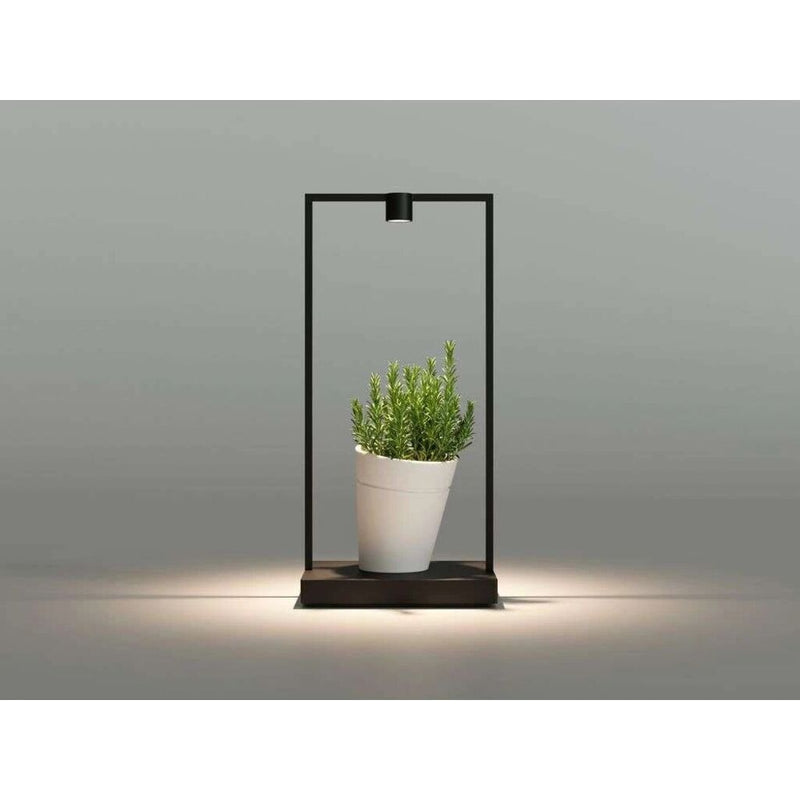 Artemide Curiosity 45 with Focus Table Lamp | Black
