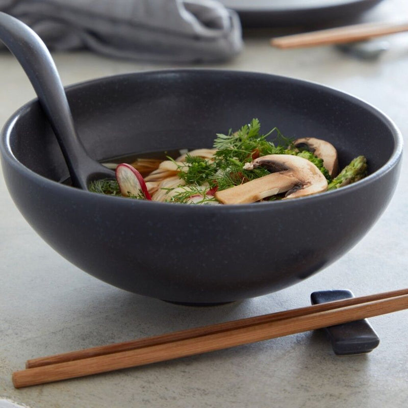 Casafina Pacifica Ramen Bowl Set