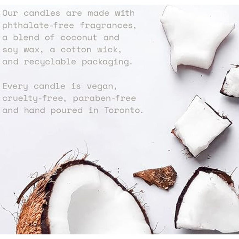 Lohn Mini Candle | Lato | Notes of Lemon, Bergamont, and Hibiscus | 3 oz