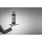 Safe-T Designer Fire Extinguisher | Animals - Lion
