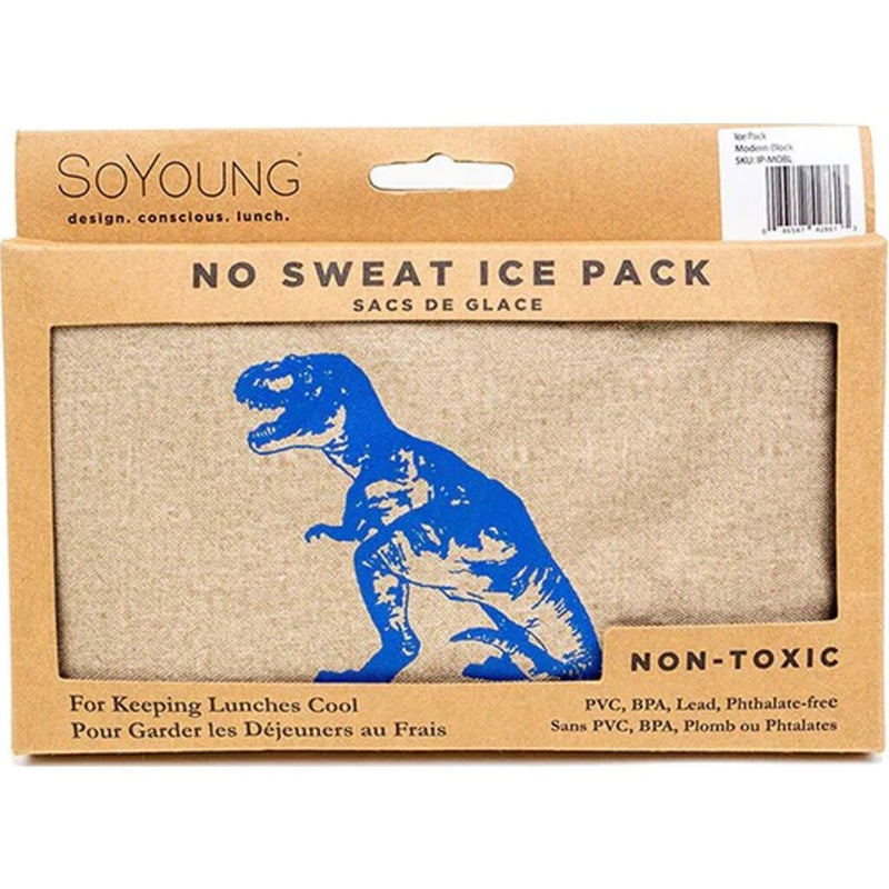 SoYoung Ice Pack