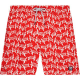 Tom & Teddy Father Son Swimming Trunks | Red & White Turtle Print