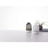 Serene House Glass Diffuser | Fountain Grey/90mm