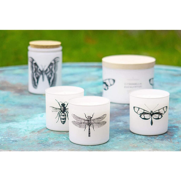 Skeem Design Citronella Sea Salt Votive Set