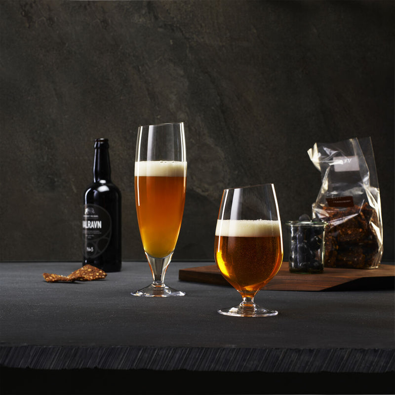 Eva Solo Beer Glass Set  --Small 541111