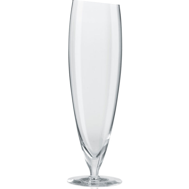Eva Solo Beer Glass Set --Large 541112