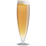 Eva Solo Beer Glass Set --Large 541112