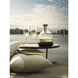 Eva Solo Decanter Carafe with Cooling Element | 1.0L 567473