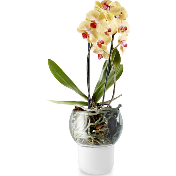 Eva Solo Selfwatering Orchid Pot | White --15cm 568149