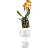 Eva Solo Selfwatering Orchid Pot | White --15cm 568149