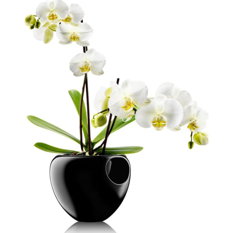 Eva Solo Orchid Pot | Black