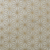 Sonder Living Gilded Star Mirror Bed