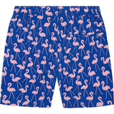 Tom & Teddy Father Son Swimming Trunks | Rose & Blue Flamingo