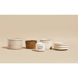 Pineapple Collaborative The Salt | Hand Harvested | 3 oz Ceramic Jar