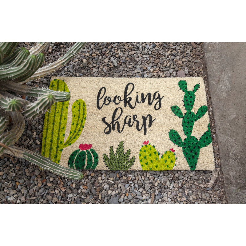 Entryways Looking Sharp Doormat | 17 x 28 