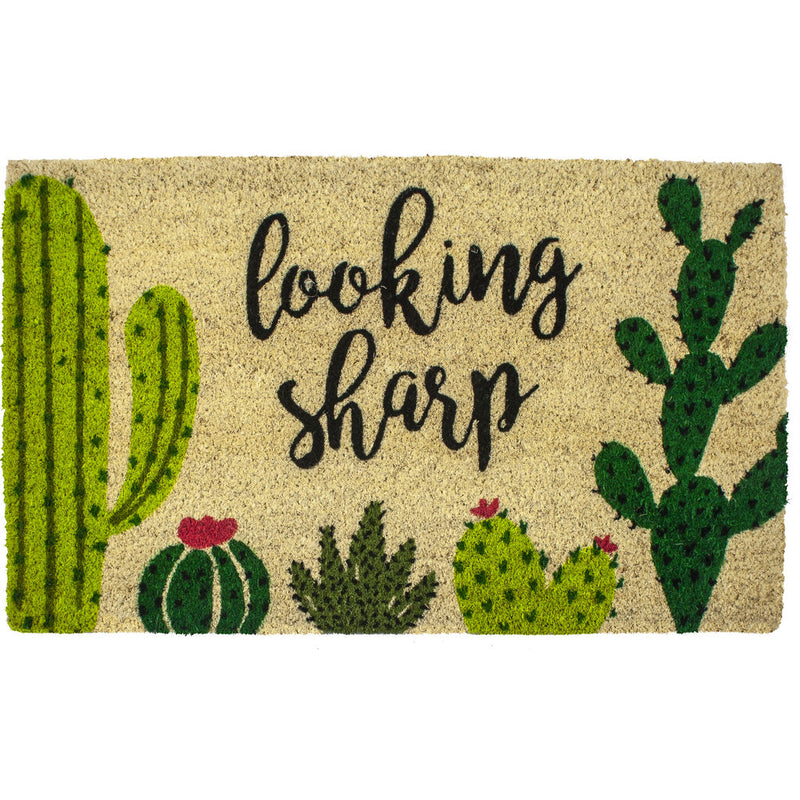 Entryways Looking Sharp Doormat | 17 x 28 