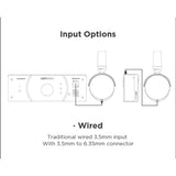 HifiMan HE-R10D Dynamic Version Headphones | Black/Wood