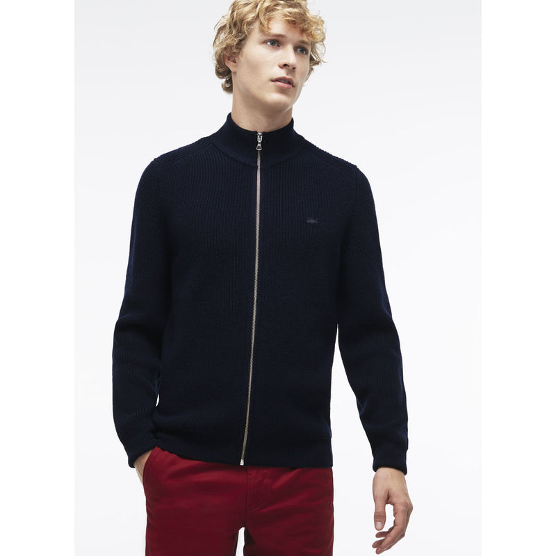 Lacoste Stripe Accented Men's V-Neck Sweater | Navy Blue