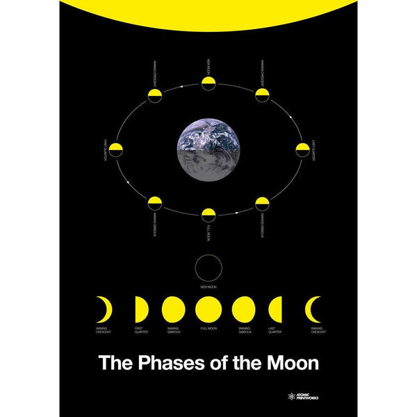 Atomic Printworks Educational Poster | The Phases of the Moon AP-04