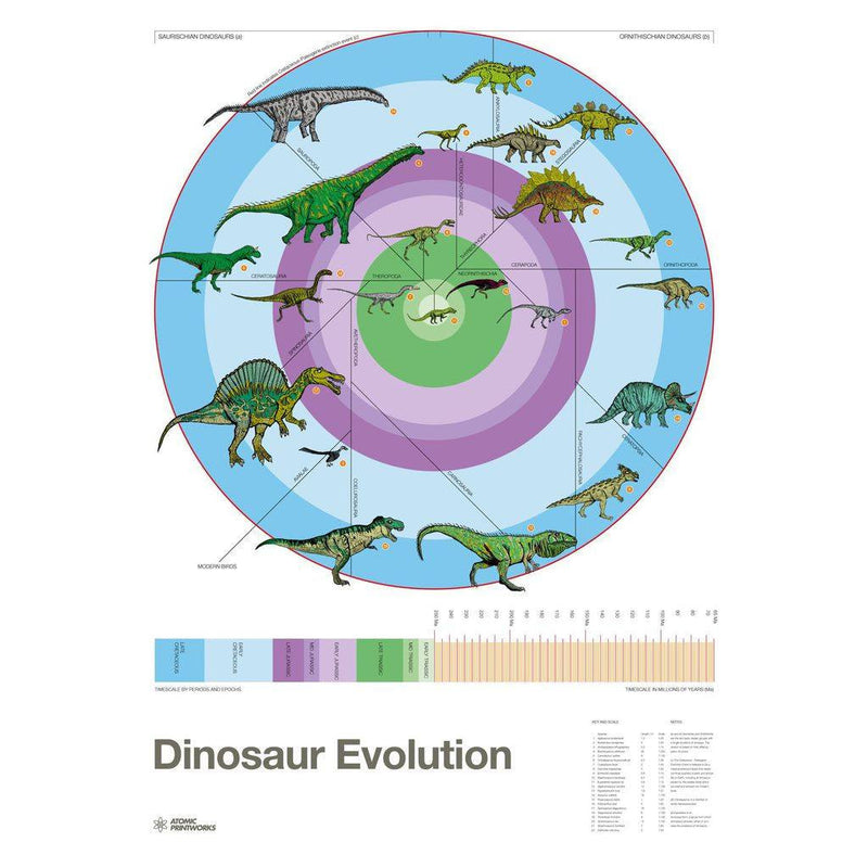 Atomic Printworks Educational Poster | Dinosaur Evolution AP-07 