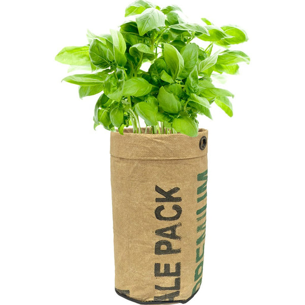 Urban Agriculture Organic Herb Grow Kit | Basil 20200
