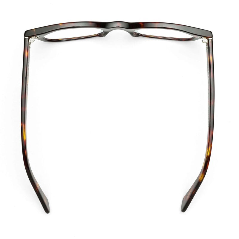 Caddis Bixby Blue Light Rx Reading Glasses | Turtle