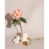 Brooklyn Candle Studio Bar Soap | Rosewater Cassis Oatmeal