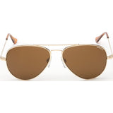 Randolph Engineering Concorde 23K Gold Plated Sunglasses | Tan Polarized Skull