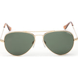 Randolph Engineering Concorde 23K Gold Plated Sunglasses | AGX Green Skull