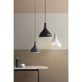 Pantone Castor25 Drop Pendant Lamp Light | Black Beauty 4320062501