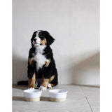 Farmhouse Pottery Farm Medium Dog Bowl