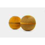 Bloon Edition Panaz - French Sitting Ball